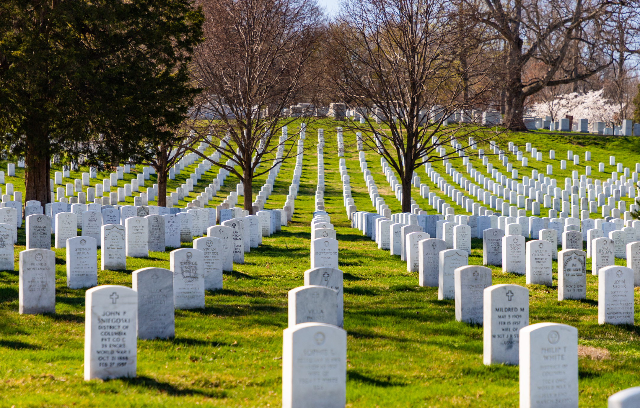 OP-ED: Honor those who sacrificed their all – and our living veterans